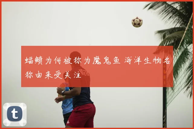 蝠鲼为何被称为魔鬼鱼 海洋生物名称由来受关注