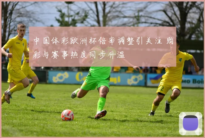 中国体彩欧洲杯倍率调整引关注 购彩与赛事热度同步升温