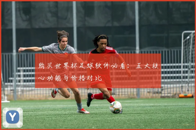 购买世界杯足球软件必看：五大核心功能与价格对比