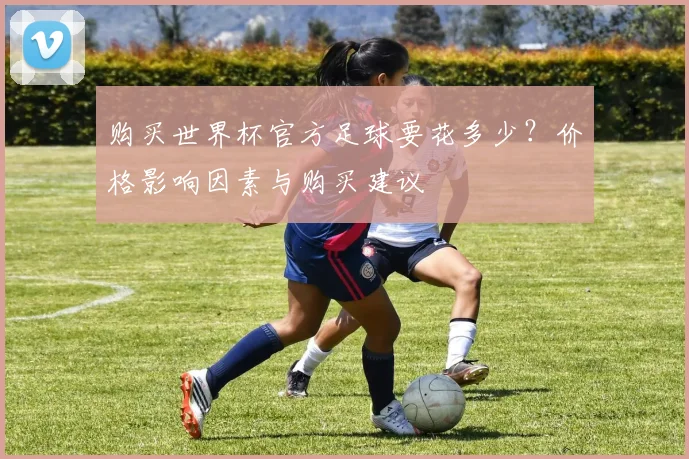 购买世界杯官方足球要花多少？价格影响因素与购买建议