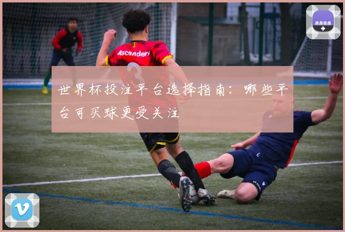 世界杯投注平台选择指南:哪些平台可买球更受关注