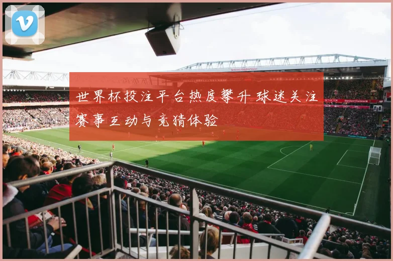 世界杯投注平台热度攀升 球迷关注赛事互动与竞猜体验
