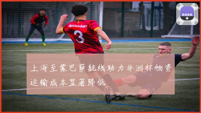 上海至蒙巴萨航线助力非洲杯物资运输成本显著降低