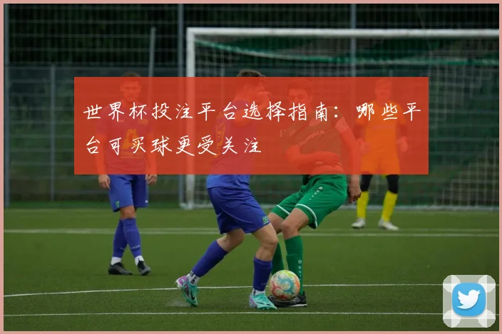 世界杯投注平台选择指南：哪些平台可买球更受关注